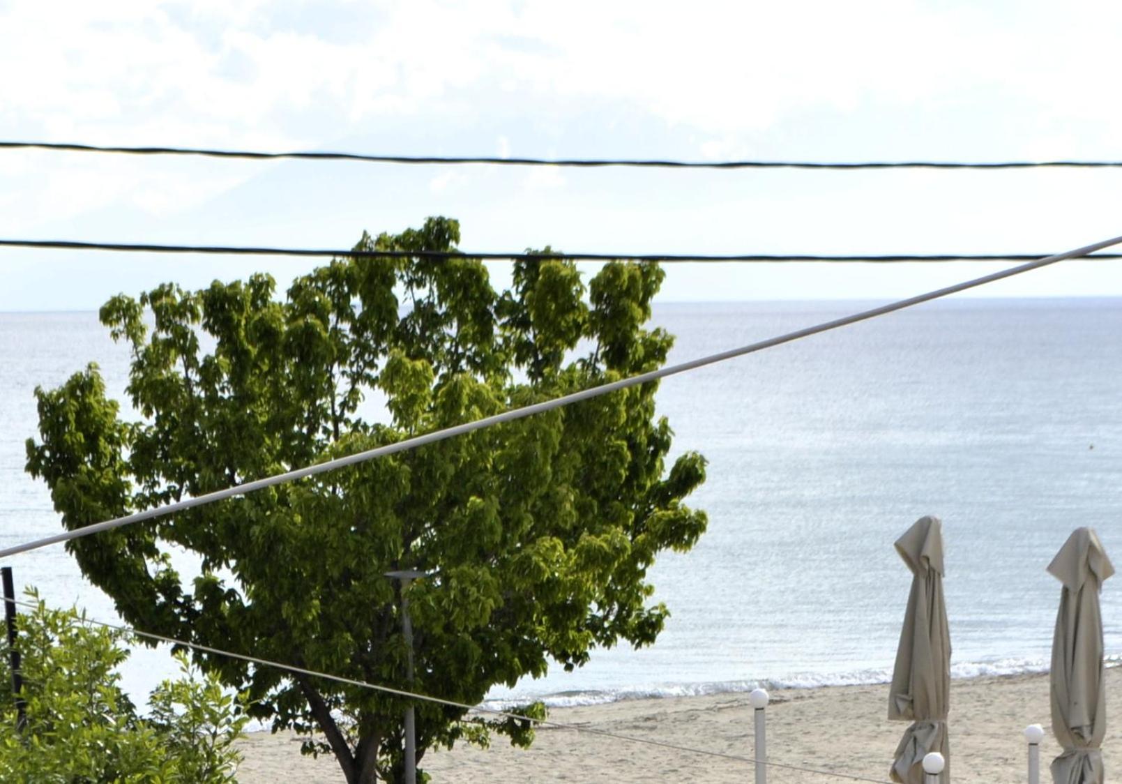 Seaside Apartment In Vergia Chalkidiki Εξωτερικό φωτογραφία